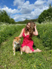 Julia: photo №13